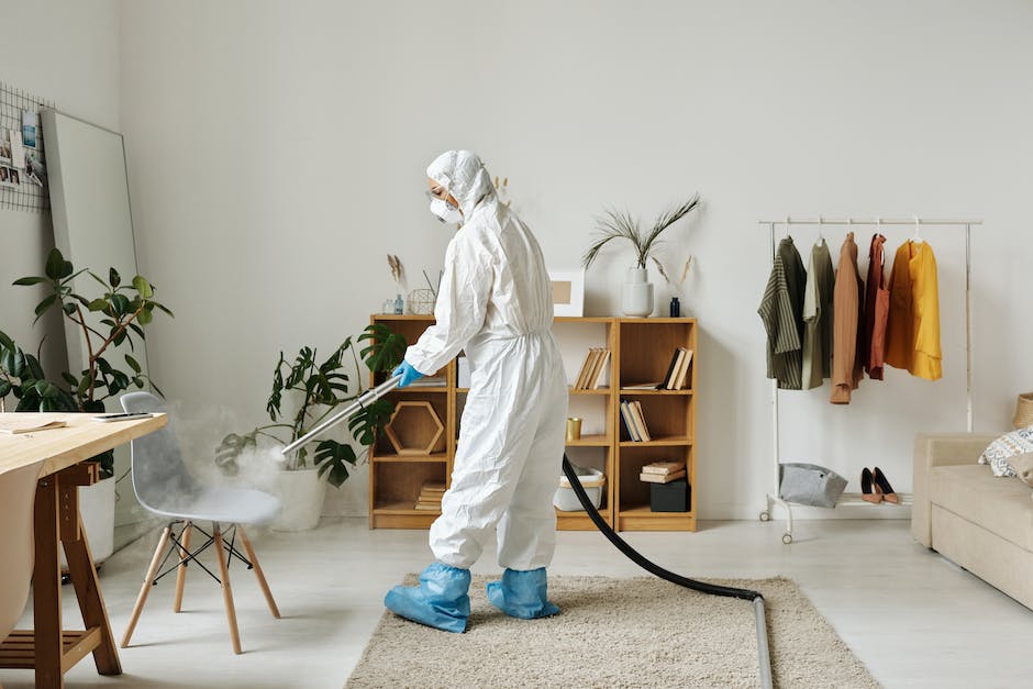 Jak skutecznie zabezpieczyć swój dom przed szkodnikami dzięki profesjonalnym usługom dezynfekcji?